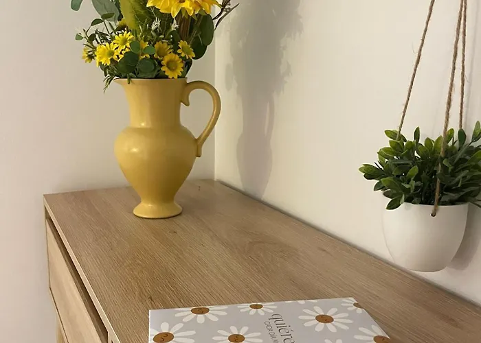 Local Girassol Ponta Delgada