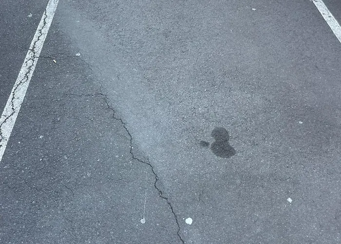 Local Girassol Ponta Delgada