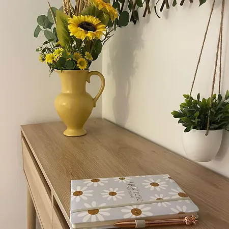 Local Girassol Ponta Delgada