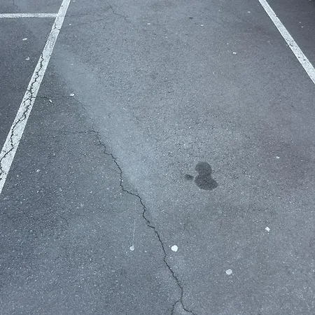 Local Girassol Ponta Delgada